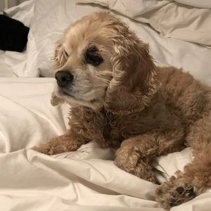 Meet your Posher, Mimi